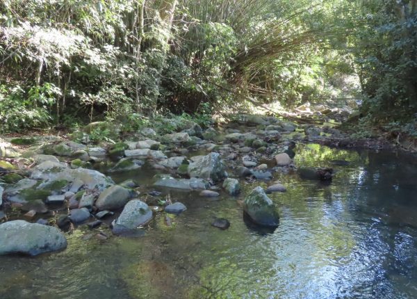 Trilha do Poção (6)