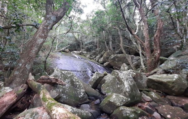 Trilha_da_Cachoeira_da_Praia_da_Solidão (13)