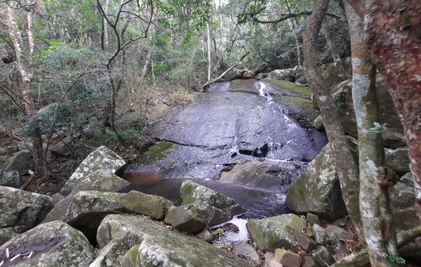 Trilha_da_Cachoeira_da_Praia_da_Solidão (22)