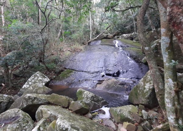 Trilha_da_Cachoeira_da_Praia_da_Solidão (22)