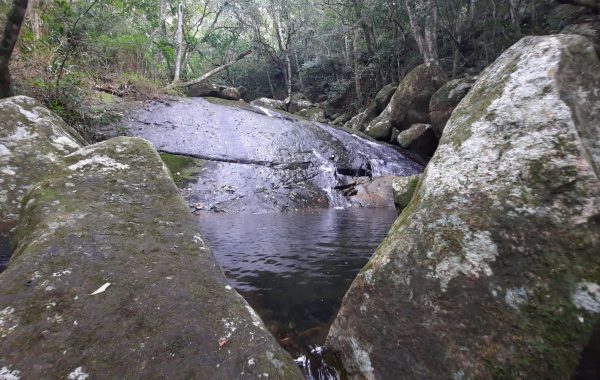 Trilha_da_Cachoeira_da_Praia_da_Solidão (23)
