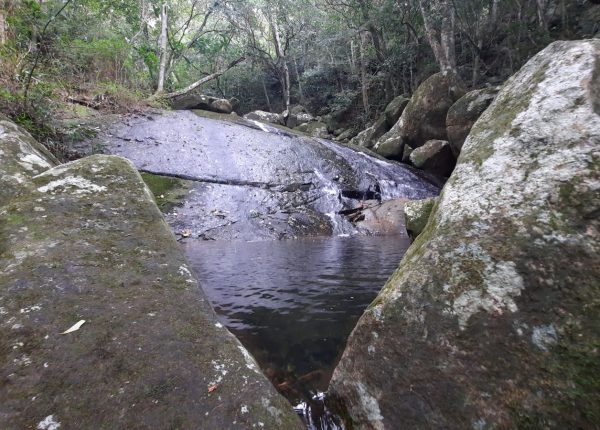 Trilha_da_Cachoeira_da_Praia_da_Solidão (23)