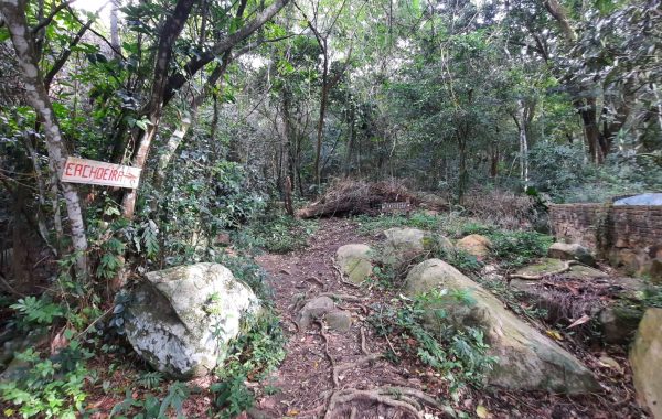 Trilha_da_Cachoeira_da_Praia_da_Solidão (6)