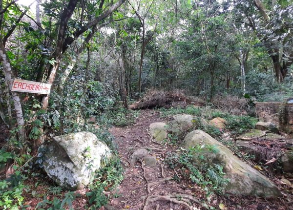 Trilha_da_Cachoeira_da_Praia_da_Solidão (6)